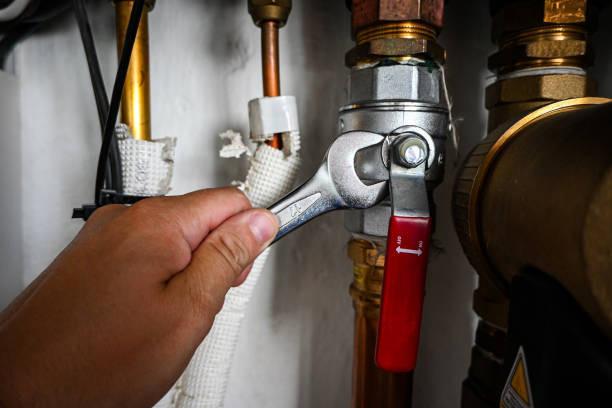 Best Clogged Drain Plumber  in Elma, WA
